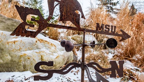 An MSU weathervane sits in the snow.