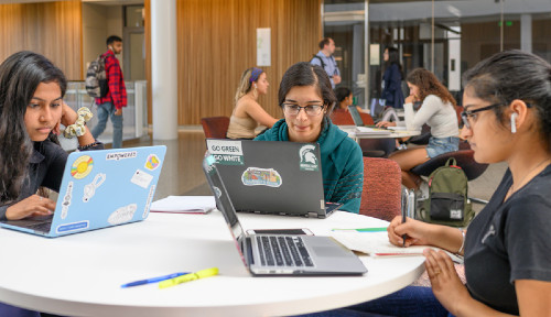 Students studying